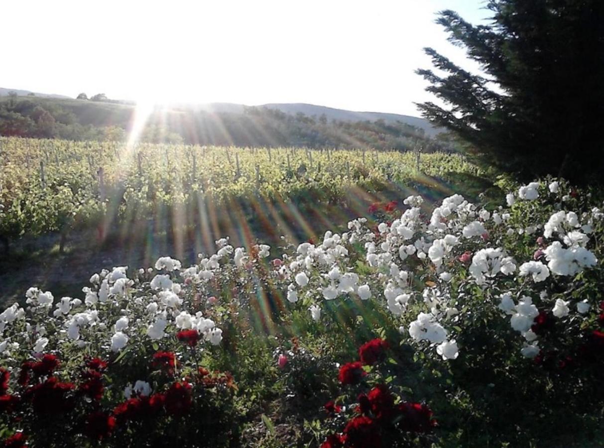 Agriturismo Fattoria Il Piano - Casa Tosca - سان جيمينيانو المظهر الخارجي الصورة